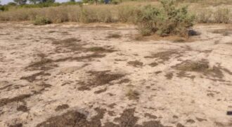 Terrain agricole 13.289 m² à vendre – Taïba Ndiaye