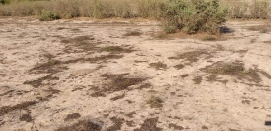 Terrain agricole 13.289 m² à vendre – Taïba Ndiaye