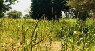 Terrain agricole 13.413 m² à vendre – Baba Garage