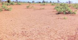 Terrain agricole 13.468 m² à vendre – Ndiéyene Sirakh