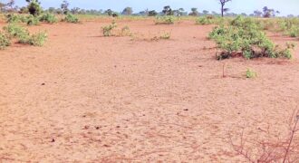 Terrain agricole 13.468 m² à vendre – Ndiéyene Sirakh