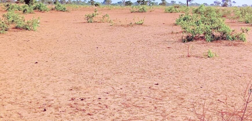 Terrain agricole 13.468 m² à vendre – Ndiéyene Sirakh