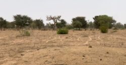 Terrain agricole 13.783 m² à vendre – Notto Diobass