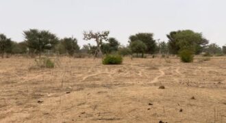 Terrain agricole 13.783 m² à vendre – Notto Diobass
