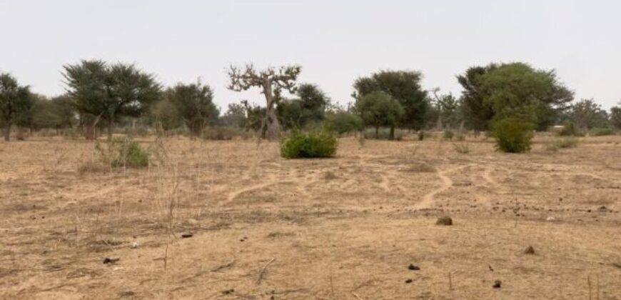 Terrain agricole 13.783 m² à vendre – Notto Diobass
