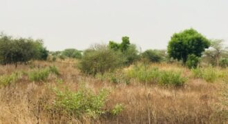 Terrain agricole 13.865 m² à vendre – Méouane