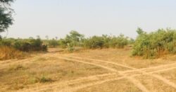 Terrain agricole 390.000 m² à vendre – Koul