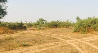Terrain agricole 390.000 m² à vendre – Koul