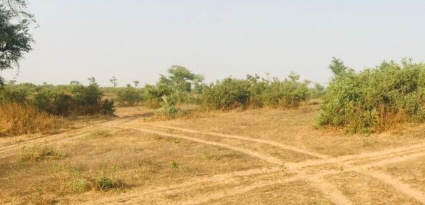 Terrain agricole 390.000 m² à vendre – Koul