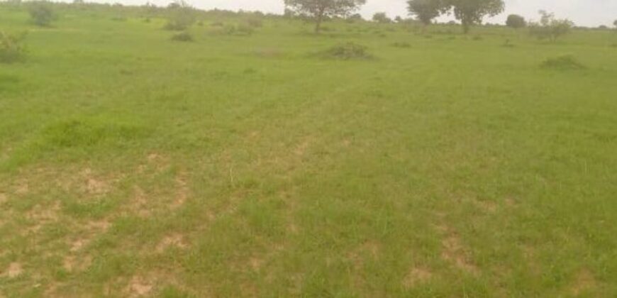 Terrain agricole 3 ha à louer – Koungheul