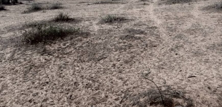 Terrain agricole 80.000 m² à vendre – Diokoul Diawrigne