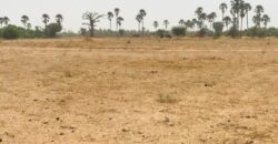 Terrain agricole 9.103 m² à vendre – Fimela