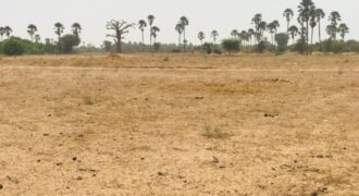 Terrain agricole 9.103 m² à vendre – Fimela