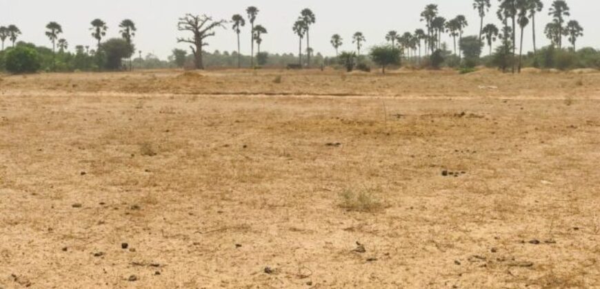 Terrain agricole 9.103 m² à vendre – Fimela