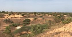 Terrain de 1,59 hectare à vendre – Diokoul Diawrigne
