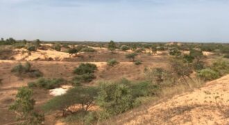 Terrain de 1,59 hectare à vendre – Diokoul Diawrigne
