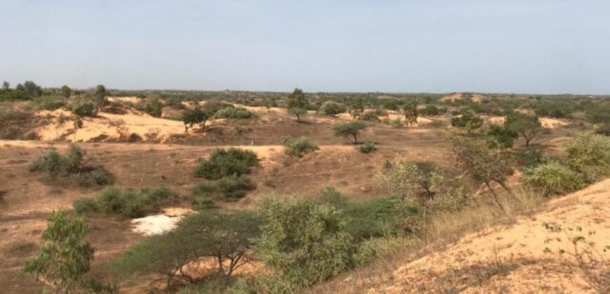 Terrain de 1,59 hectare à vendre – Diokoul Diawrigne