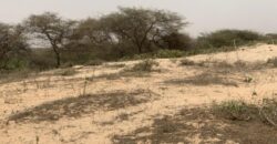 Terrain de 1,40 hectare à vendre – Gandiol, Saint-Louis