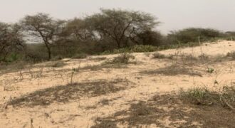 Terrain de 1,40 hectare à vendre – Gandiol, Saint-Louis