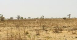 Terrain de 1,41 hectare à vendre – Nguéniène