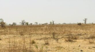 Terrain de 1,41 hectare à vendre – Nguéniène