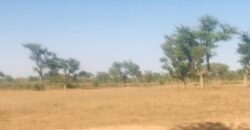 Terrain de 1,4 hectare à vendre – Notto Diobass, Thiès
