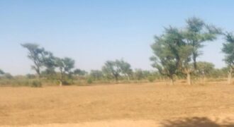 Terrain de 1,4 hectare à vendre – Notto Diobass, Thiès