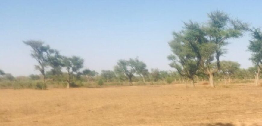 Terrain de 1,4 hectare à vendre – Notto Diobass, Thiès