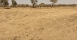Terrain de 1,43 hectare à vendre – Sagata