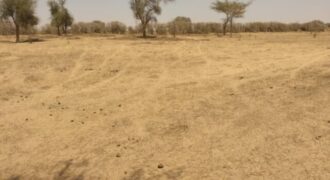 Terrain de 1,43 hectare à vendre – Sagata