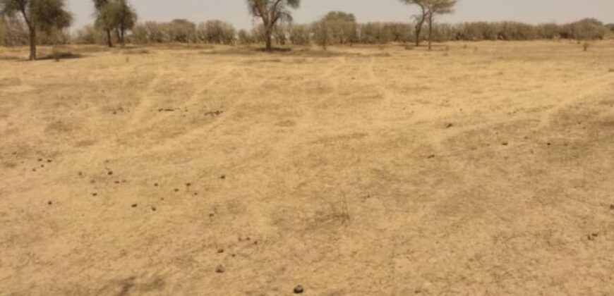 Terrain de 1,43 hectare à vendre – Sagata