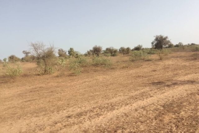 Terrain agricole 10.195 m² à vendre – Thiénaba