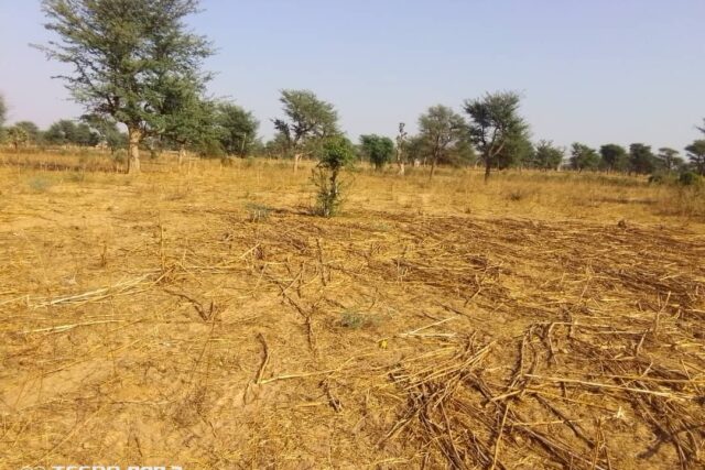 Terrain agricole de 1,50 ha à vendre à Notto Diobass – Sénégal