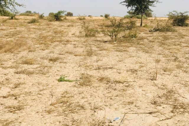 Terrain 2,28 ha à vendre – Cherif Lô, Tivaouane