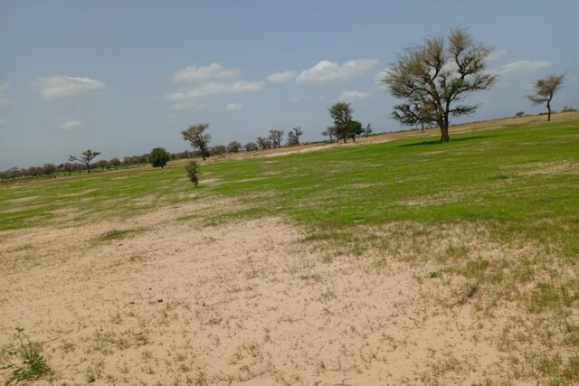Terrain de 1,69 hectare vers Tassette