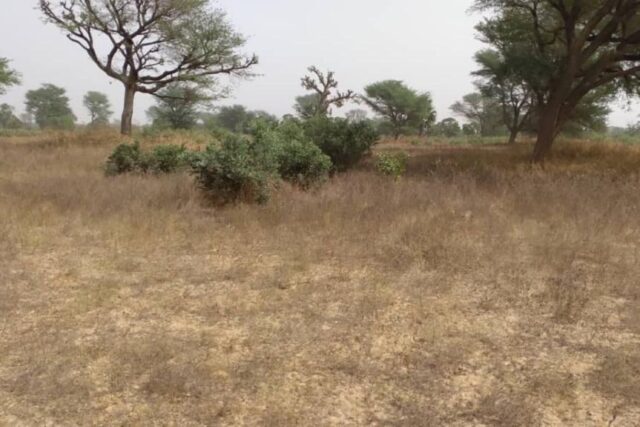 Terrain 2,33 ha à vendre – Notto Diobass, Thiès