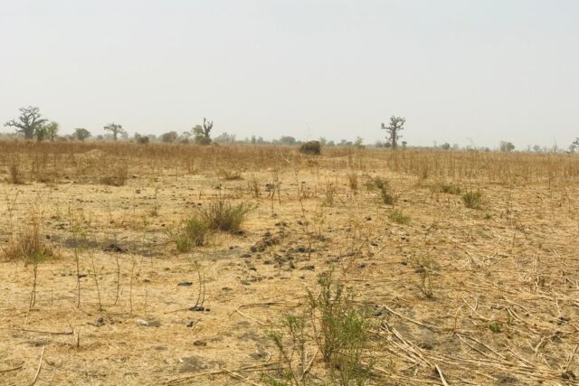 Terrain de 2 hectares vers Nguéniène