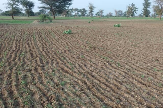 Terrain de 1,71 hectare vers Sandiara