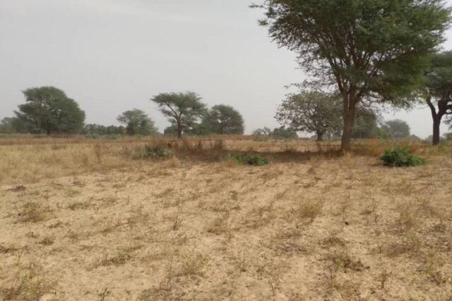 Terrain 2,33 ha à vendre – Notto Diobass, Thiès