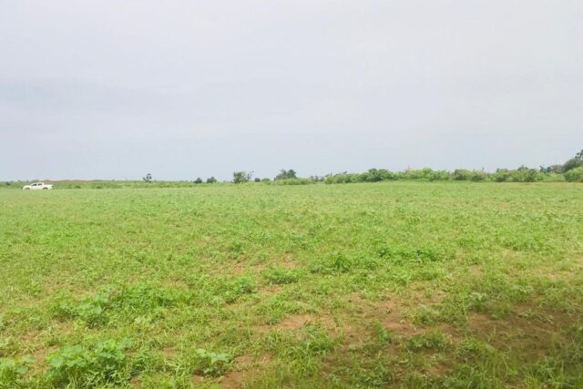Terrain de 2 hectares vers Tassette