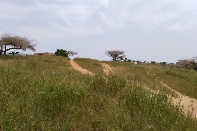 Terrain 1,83 ha à vendre – Diokoul Diewrigne, Louga