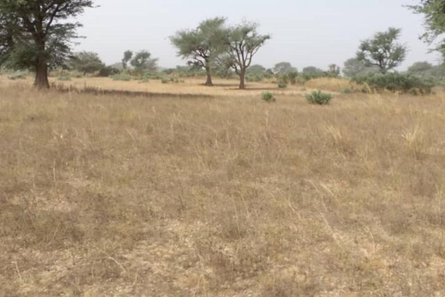 Terrain 2,33 ha à vendre – Notto Diobass, Thiès