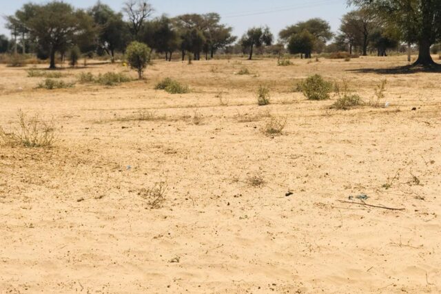 Terrain de 1,56 hectare vers Ngoundiane
