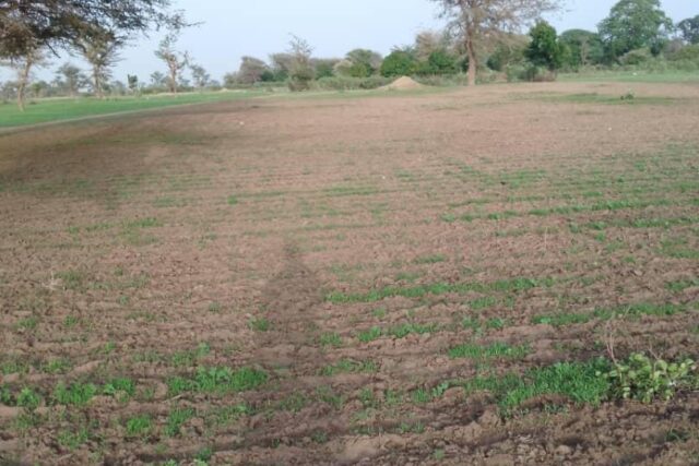 Terrain de 1,71 hectare vers Sandiara