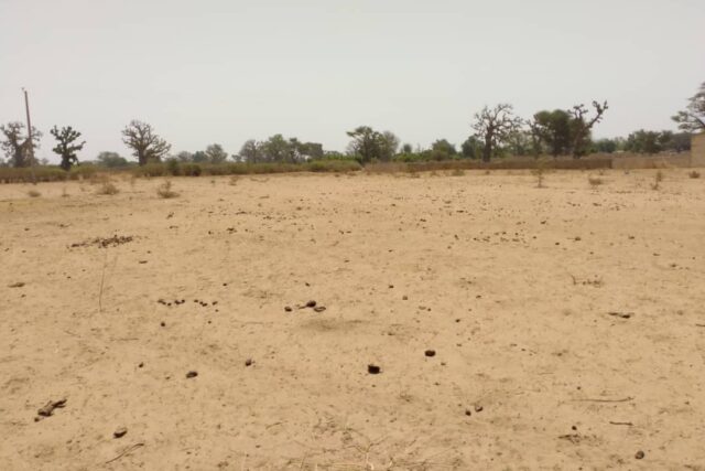 Terrain agricole 1,93 ha à vendre – Sindia