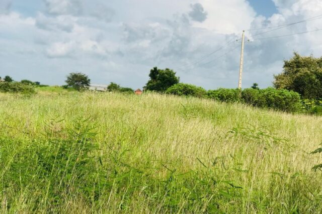 Terrain 2,29 ha à vendre – Malicounda, Mbour