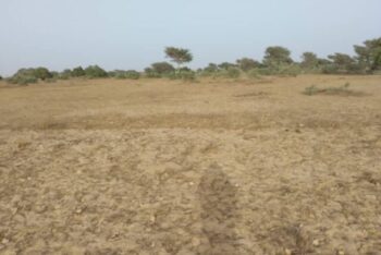 Terrain de 2 hectares vers Thiénaba
