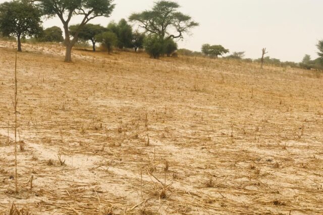 Terrain de 1,81 hectare vers Keur Samba Kane