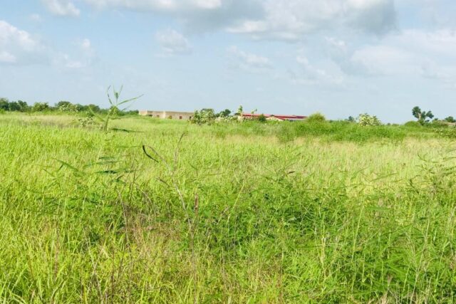 Terrain 2,29 ha à vendre – Malicounda, Mbour