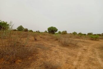 Terrain de 2 hectares vers Thiénaba